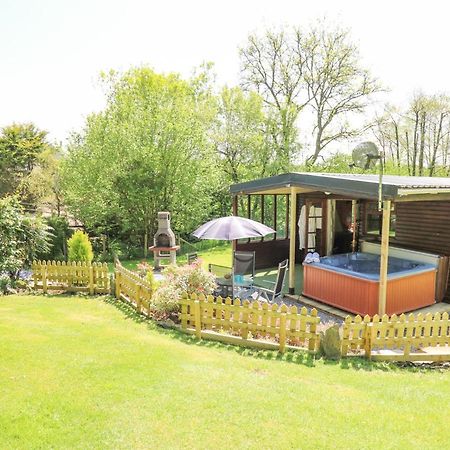 Brook Lodge Llandysul Exterior foto